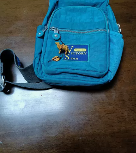 女士挎包 有些氧化发黄 几乎未使用过 送包...