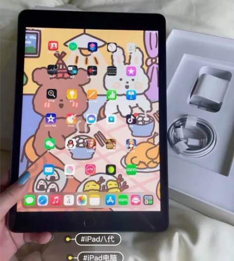 95新iPad（2020）插卡wife12...