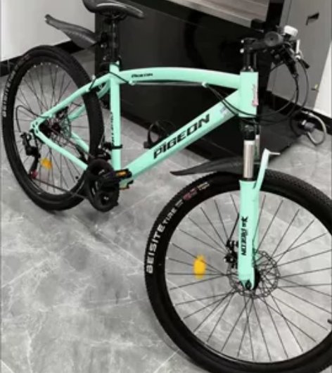 【工厂清仓！！】上海永久飞鸽牌山地自行车男...