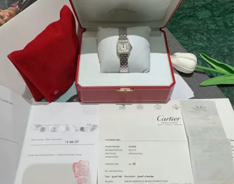 卡地亚Cartier 山度士系列 WF90...