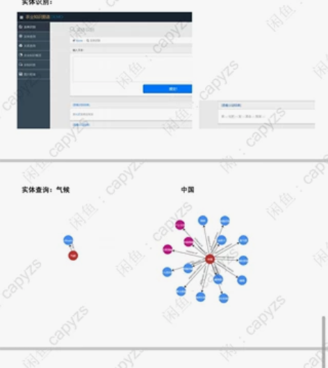 37页农业知识图谱搭建，代码不是我写的，在...