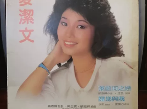 麦洁文黑胶，唱片及封套95品，一针到尾，有...