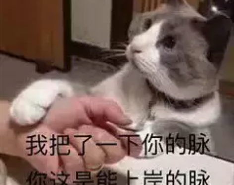 尚德外国文学史 / 语言学概论 感兴趣的话...