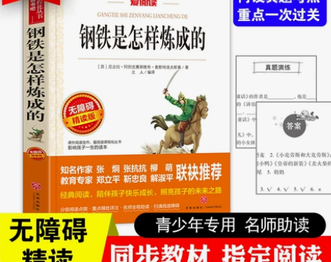 钢铁是怎样炼成的正版青少年成长励志小说儿童...
