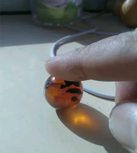 缅甸飘黑蜜圆珠，实物漂亮 感兴趣的话给我留...