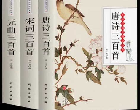 唐诗三百首宋词元曲三百首全集注释 初高中学...