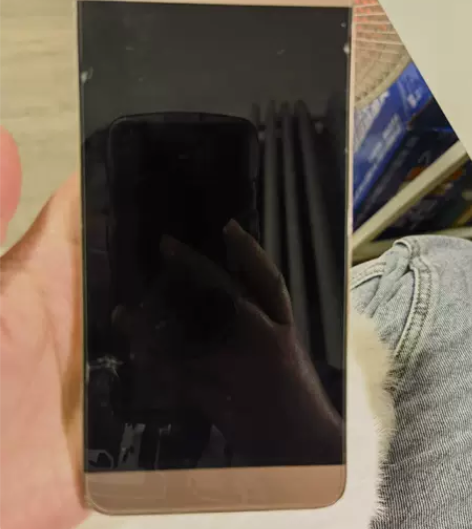 vivo y79 4+64g 8核  贴了...