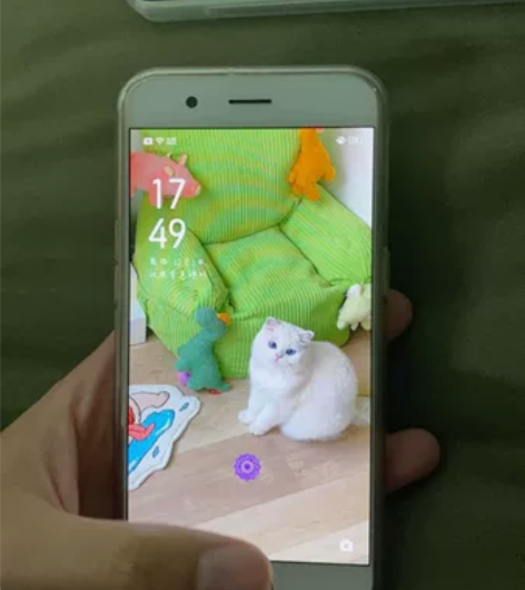 OPPO R11 拍照嘎嘎清晰 备用机 不...