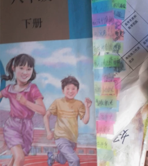 初中道德与法治语文数学英语化学生物物理历史...