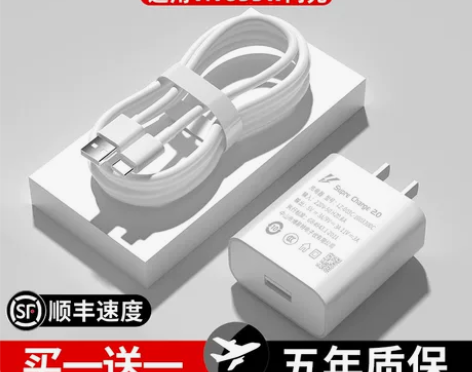 雷珞克品牌适用vivo33w充电器x30双...