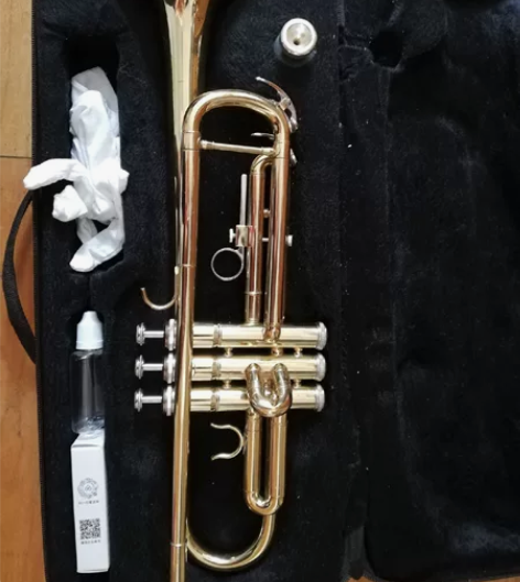 小号ROYALL  TP—260适合初学者...