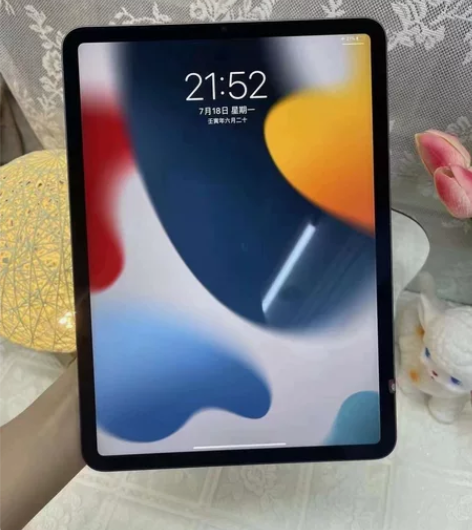 Ipad 2021 pro 11寸 全原 ...