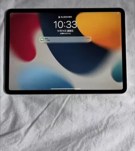 Apple/苹果 iPad Pro 11英...