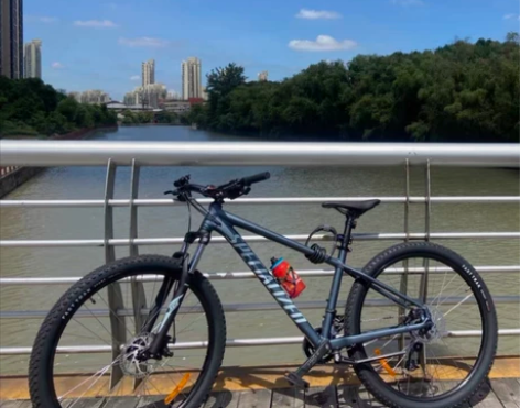 SPECIALIZED闪电ROCKHOPP...