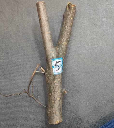 弹弓叉 弹弓 原木 东北荒山老木头5号 感...