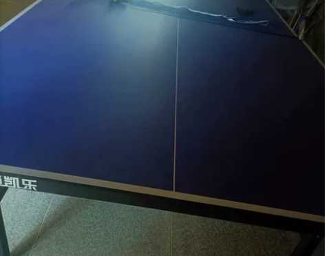 国标乒乓球桌 可折叠 9.5成新 自提 不...