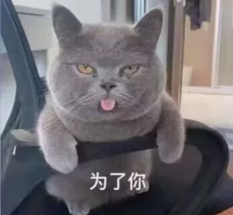 office系列都可以接 PPT，word...