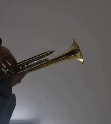 小号 trumpet 台湾 antigua...