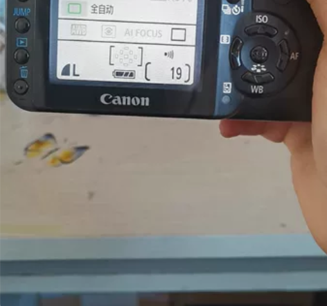 佳能EOS400d单反套机    单机+1...