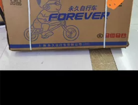 永久儿童自行车2-6岁男女款单车小孩脚踏车...