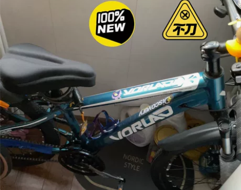 99新喜德盛沃雷顿红日200自行车20寸，...