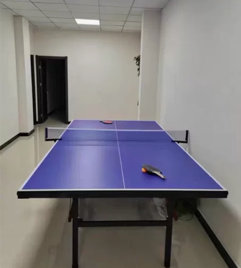 急出！成人运动家用室内乒乓球桌乒乓球台乒乓...