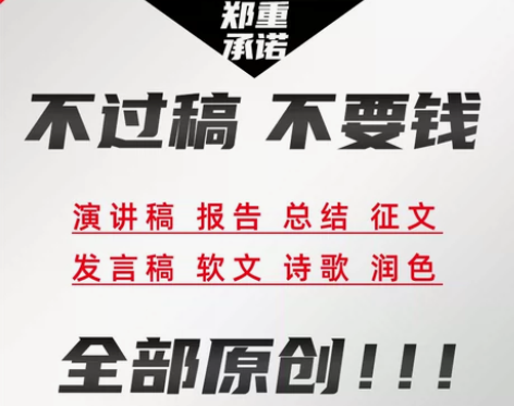 代写演讲新闻稿征软文解说词剧本总结报告英
