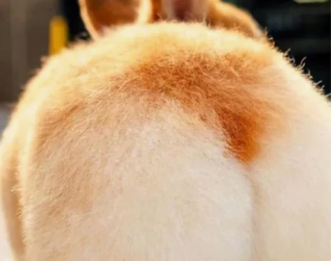 华为nova7se 8+128 轻微使用痕...