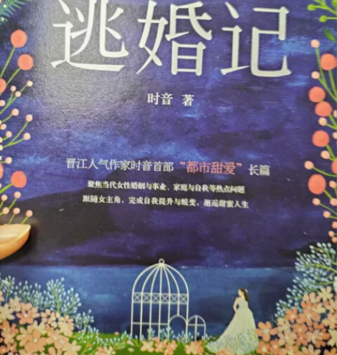青春文学小说 买来看过一次 几乎全新 要处...