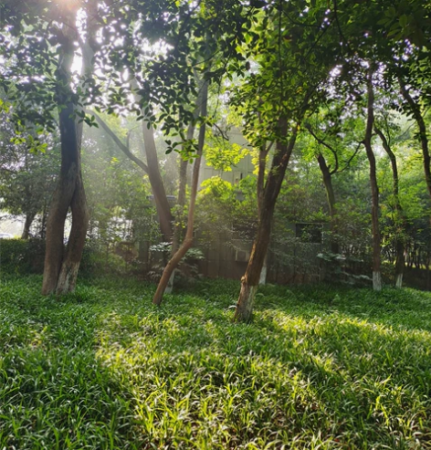 【华中师范大学】中国语言文学考研答疑 可答...