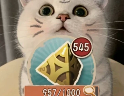 第五人格500骰子大自抽 第五人格五百骰子...