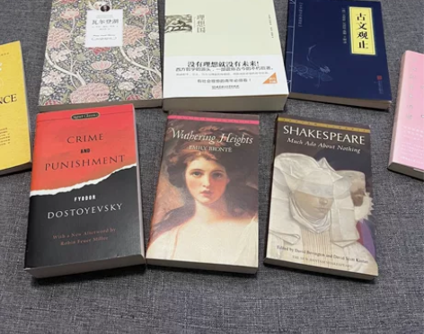 8本全新纸质书。英文原版外文进口精装纸质书...