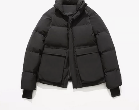 ?男短款大鹅学生立领加厚加拿大工装帅气国潮...