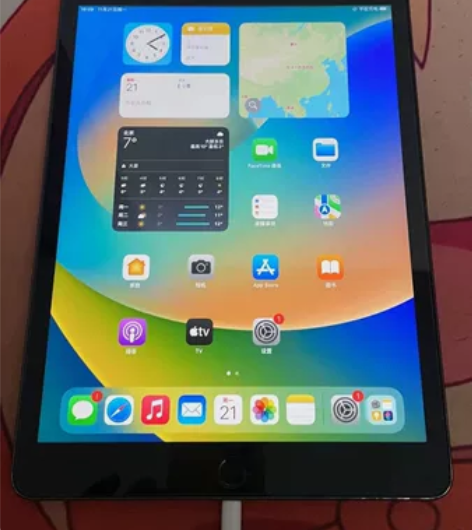 自用ipad 2019款 128g 10....