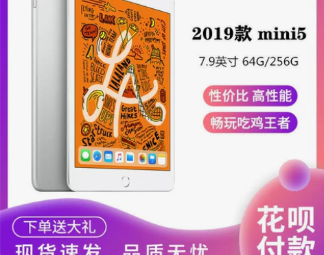 iPadmini5Apple/苹果 iPa...
