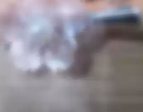 粉蝶贝发夹～ 30mm的大花花～40一对包...