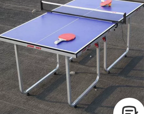 乒乓球台红双喜正品室内家用可折叠可推移小型...