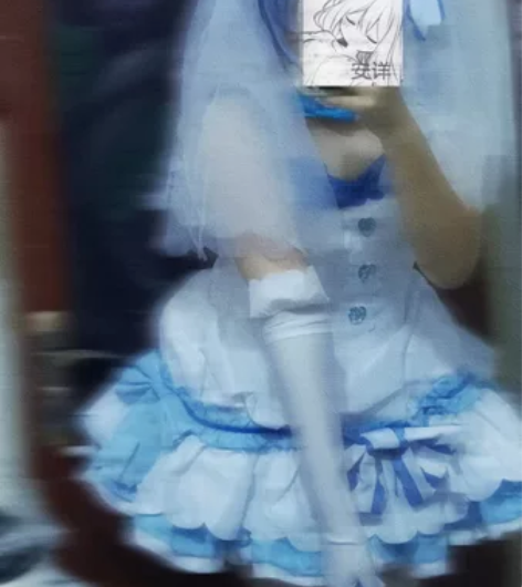 初兽猫雷姆花嫁婚纱cos 衣服大码200+...