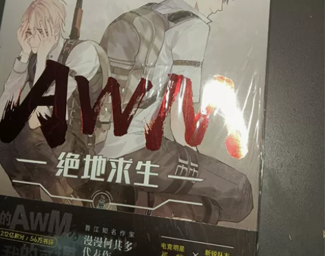 青春文学 急出！！A WM绝地求生上册几乎...