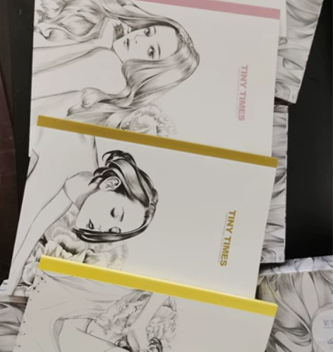 学生少女日记本，封面为帅哥美女，各两套，每...