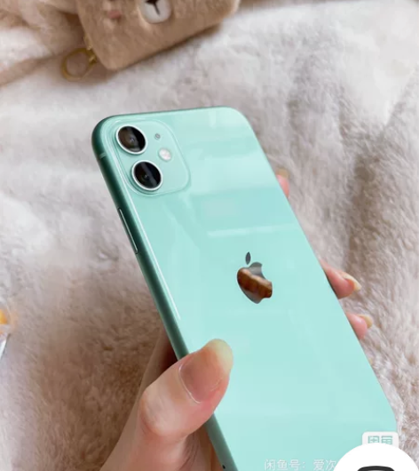 Apple/苹果 iPhone 11 感兴...