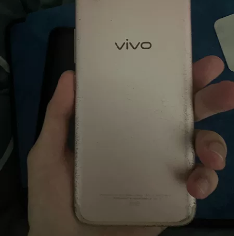 妈妈用的vivo x9 17年一手花300...