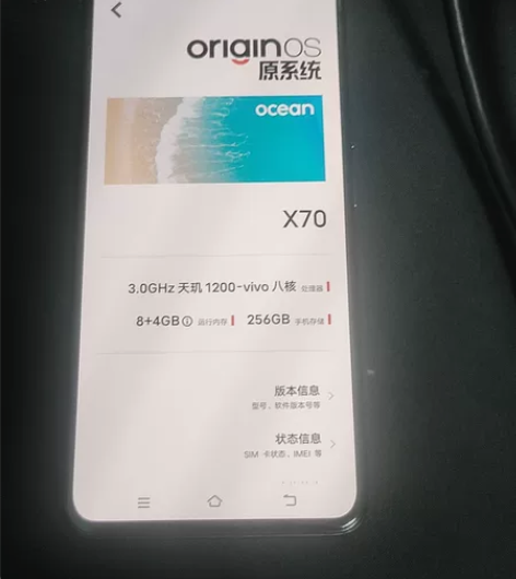 vivox70 5g 8＋256屏幕完美基...
