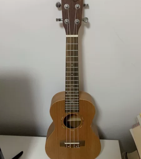 尤克里里闲置，转让40 感兴趣的话点“我想...