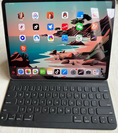 Ipad pro  第五代12.9英寸 2...