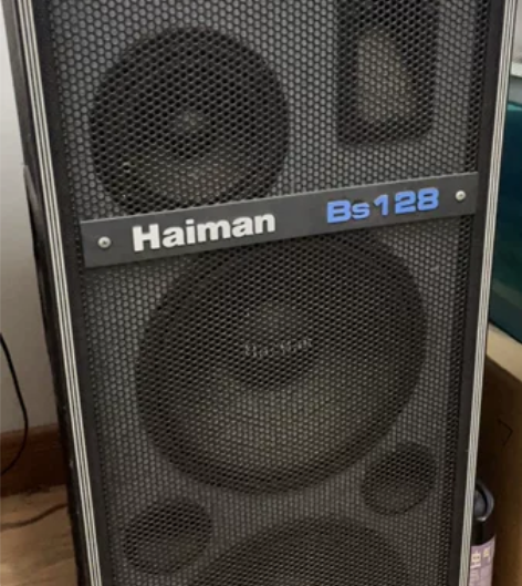 海曼音响2个+1套奇声功放 所见即所得 大...