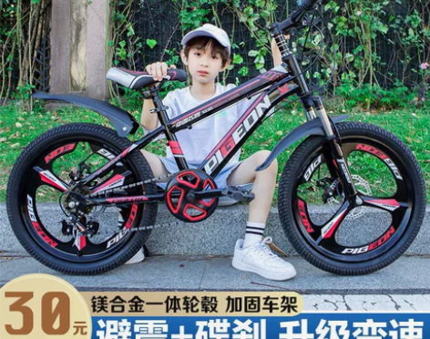自行车 山地车自行车飞鸽儿童6-8-12岁...