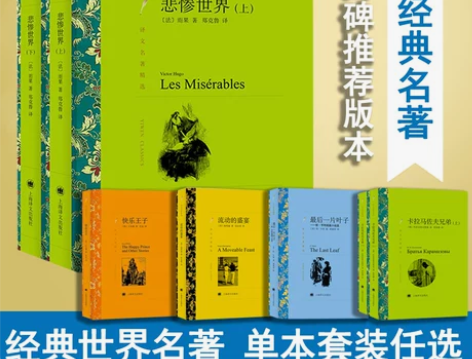悲惨世界 完整版无删减上下2册原版 雨果 ...