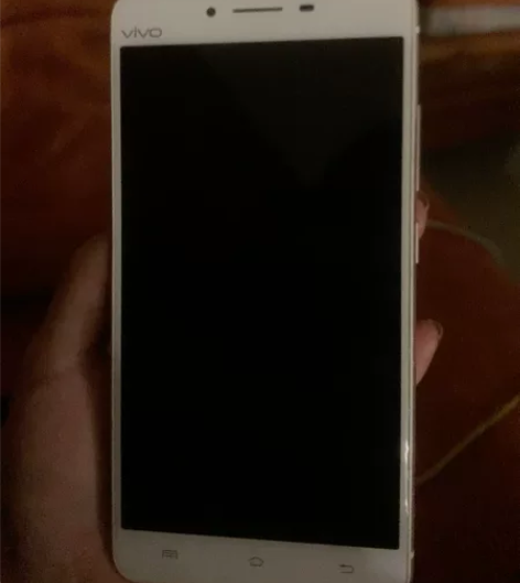 vivo x6s plus全网通，充电口排...