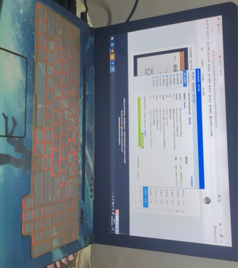 Asus/华硕 飞行堡垒5代  游戏本 C...